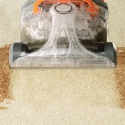 nj carpet cleaning services