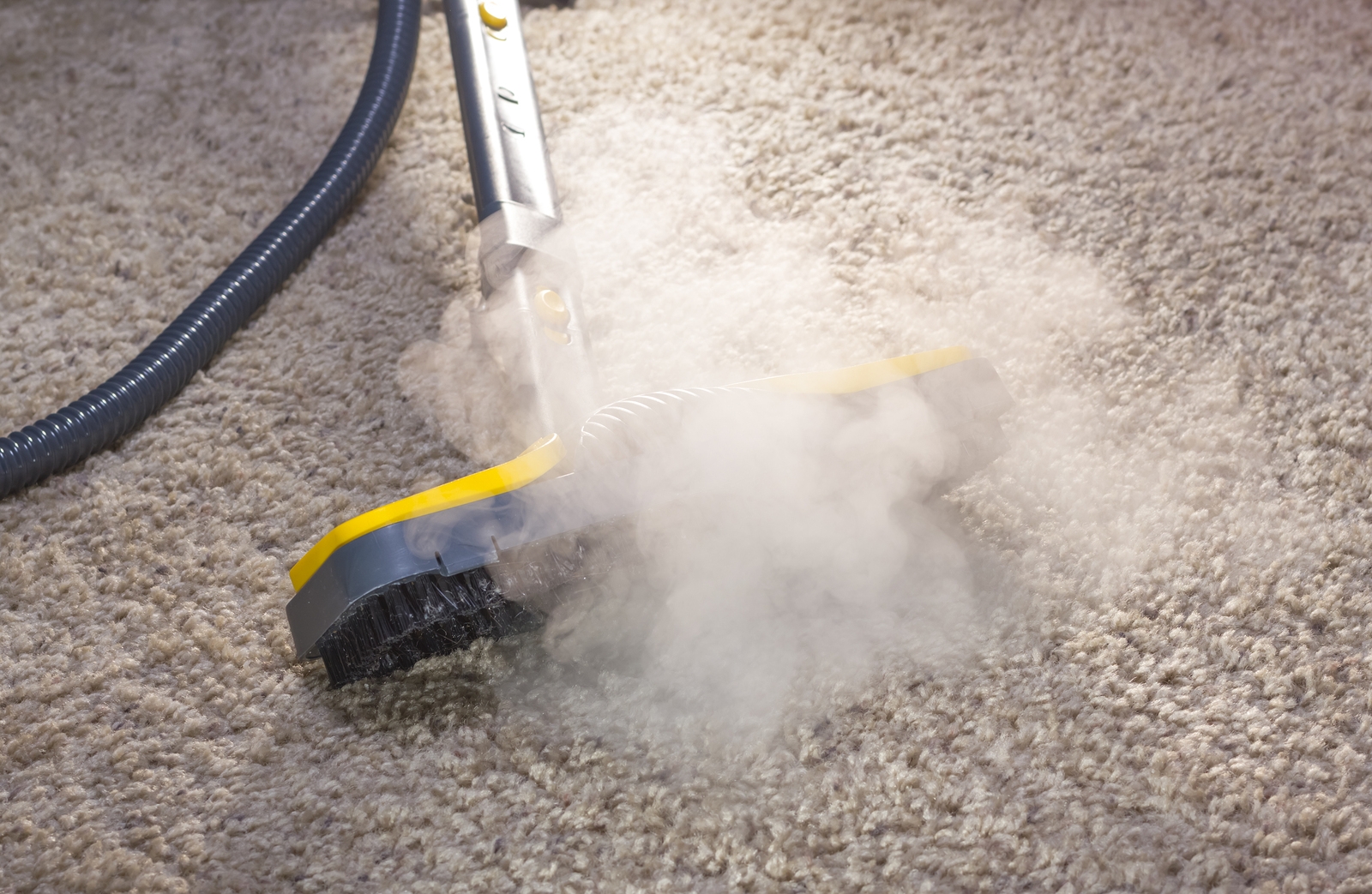 Professional Carpet Cleaning – Benefits for Your Home and Health