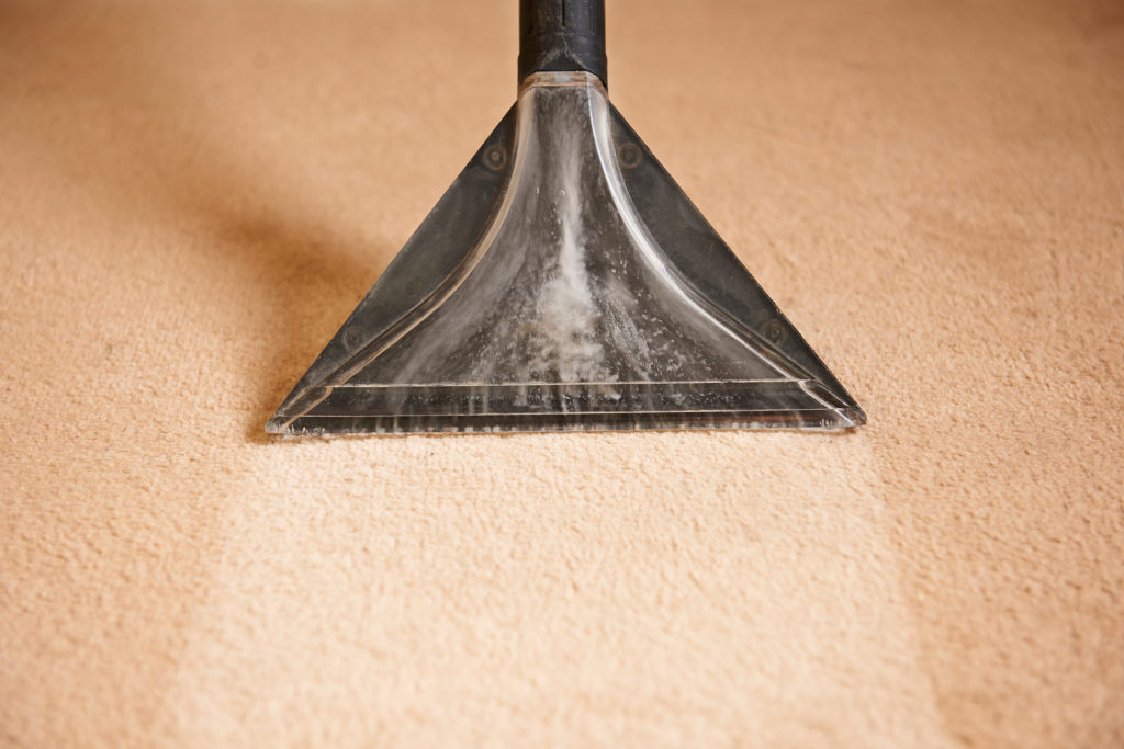 Professional Carpet Cleaning