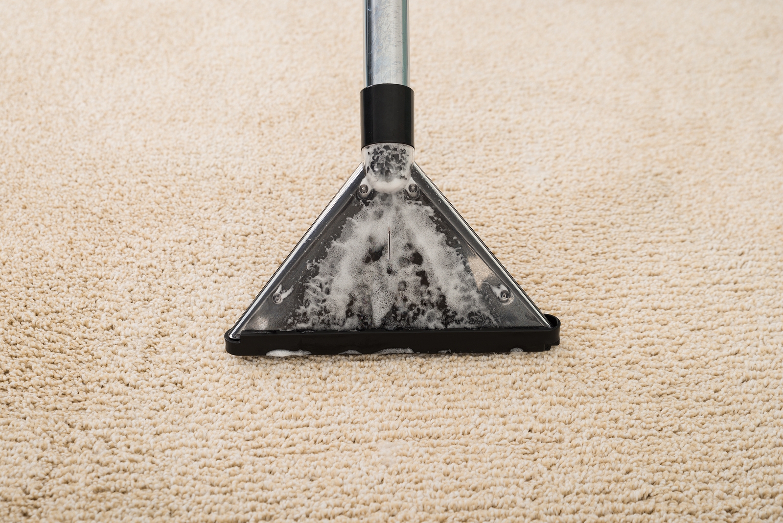 House Cleaning Companies in Ocean County