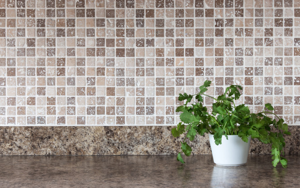 Tile and Grout Cleaning - Tips to Prevent Mold and Mildew