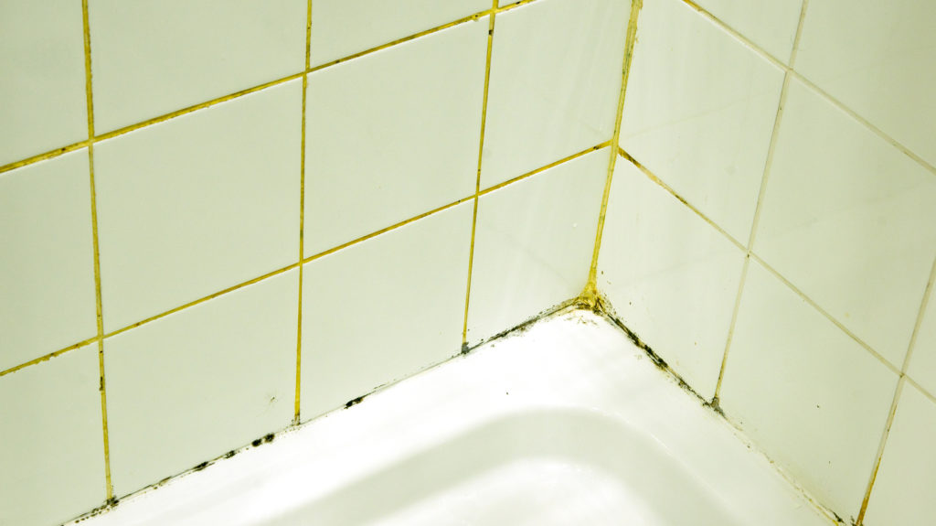 Tile and Grout Cleaning - Tips to Prevent Mold and Mildew