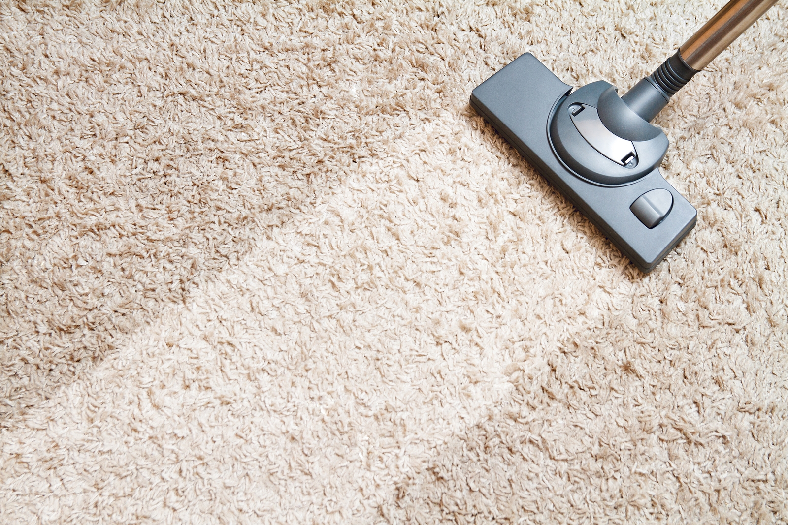 carpet cleaning toms river nj