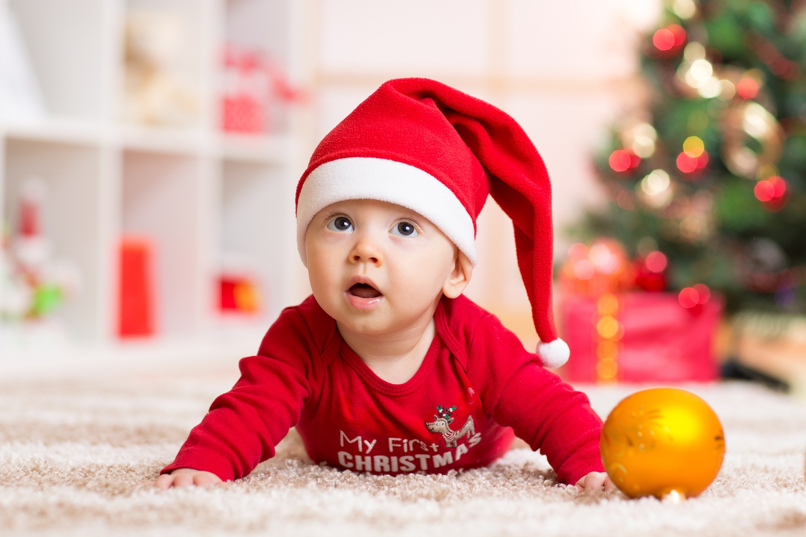 Before You Deck the Halls, Hire a Carpet Cleaning Service