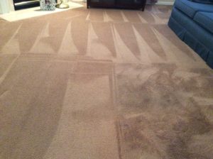 carpet cleaning nj