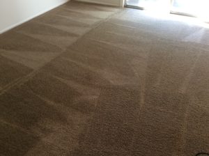 carpet cleaning nj