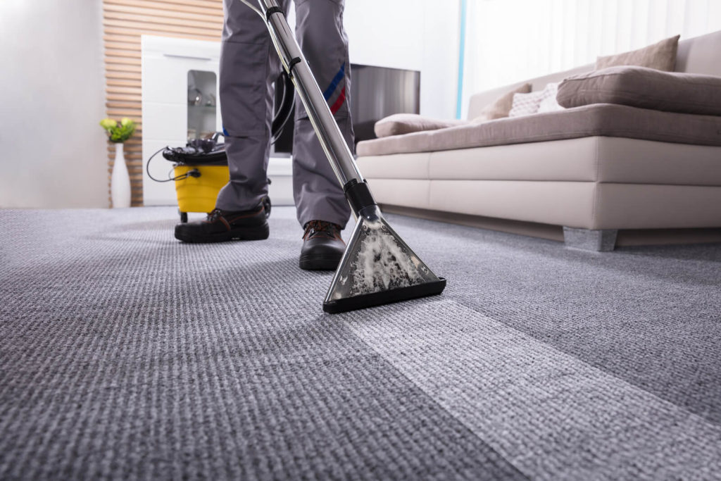 carpet cleaners nj