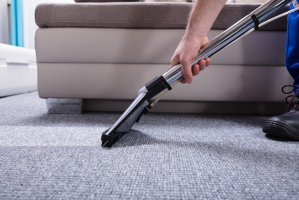 professional carpet cleaners ocean county