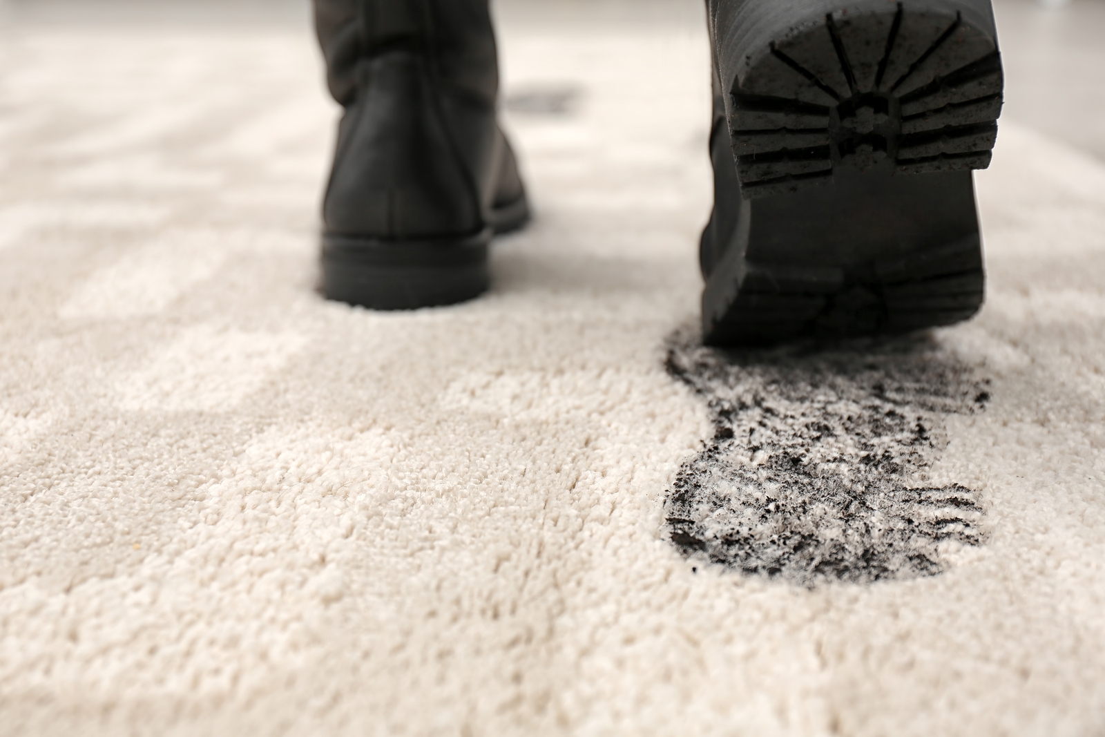 Professional Carpet Cleaning - Is it on Your Spring Cleaning Checklist?