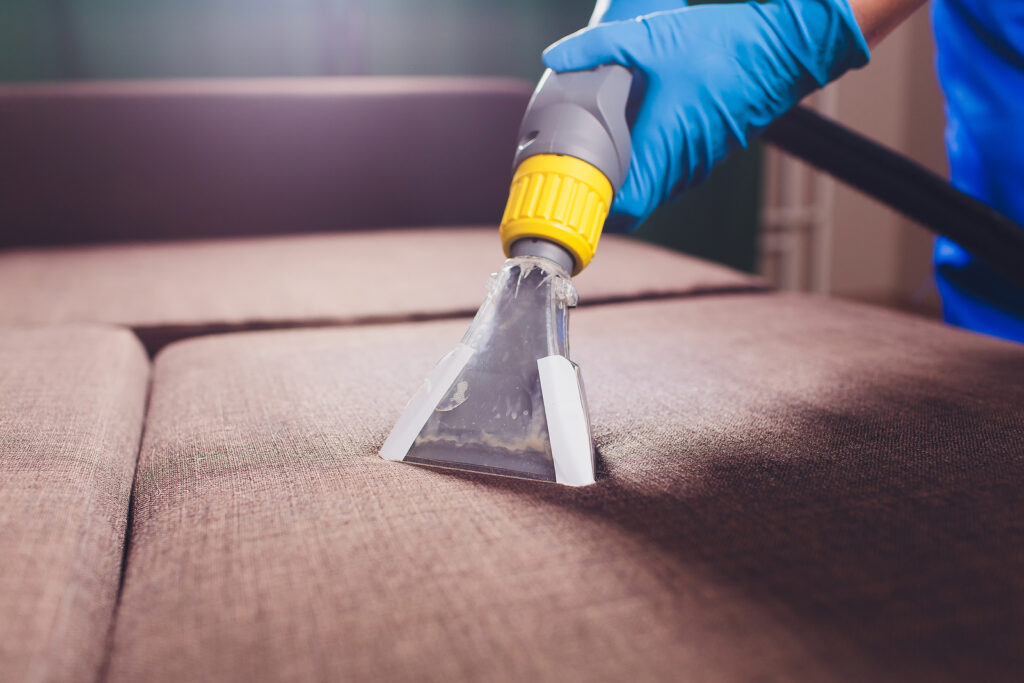 carpet and upholstery cleaning service