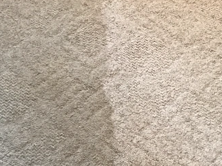 Area Rug Cleaning middletown nj