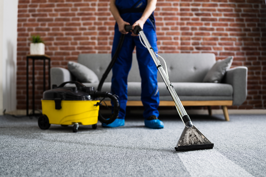 How to Find the Best Carpet Cleaning Service In Freehold NJ