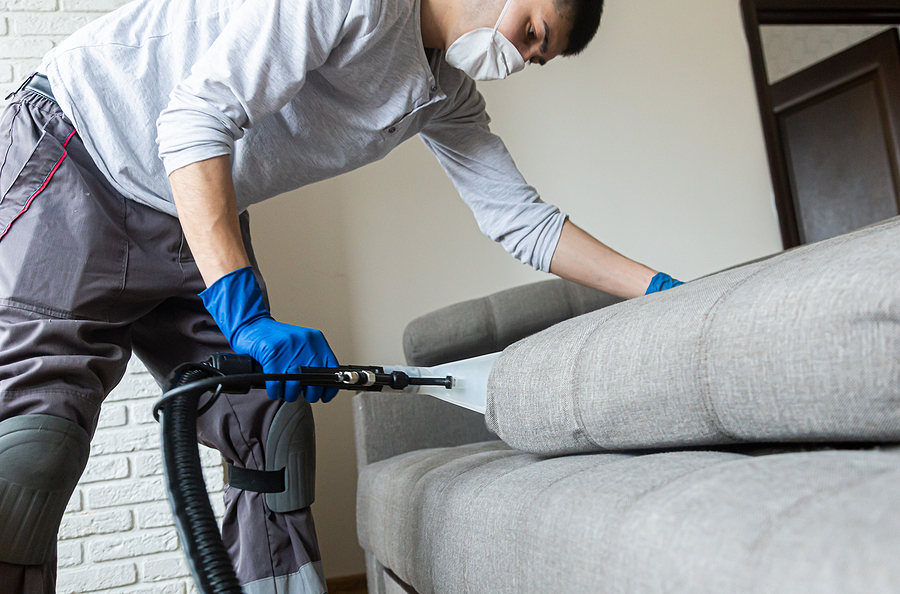 Upholstery Cleaning Monmouth County NJ: What to Expect