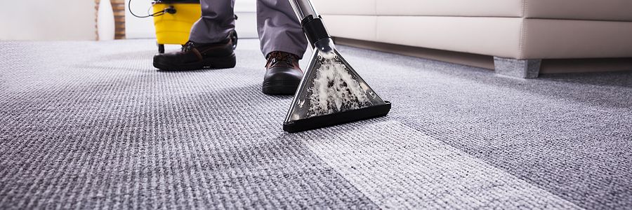 immaculate carpet cleaning nj